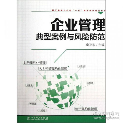 企业管理典型案例与风险防范