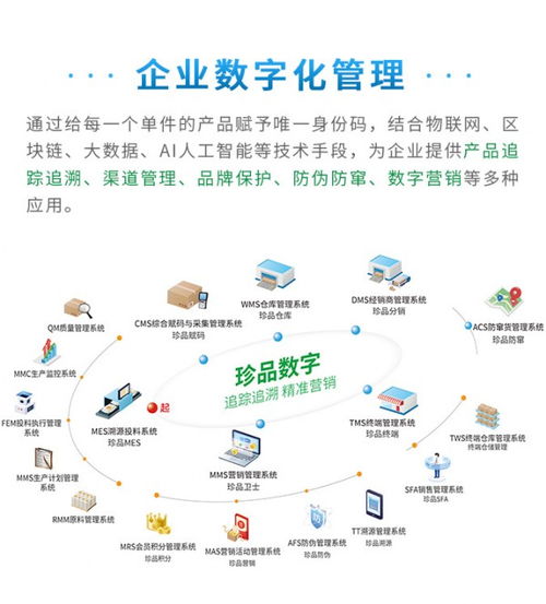 赋能管理，驱动未来 珍品数字发布全新企业数字化解决方案与数据处理服务